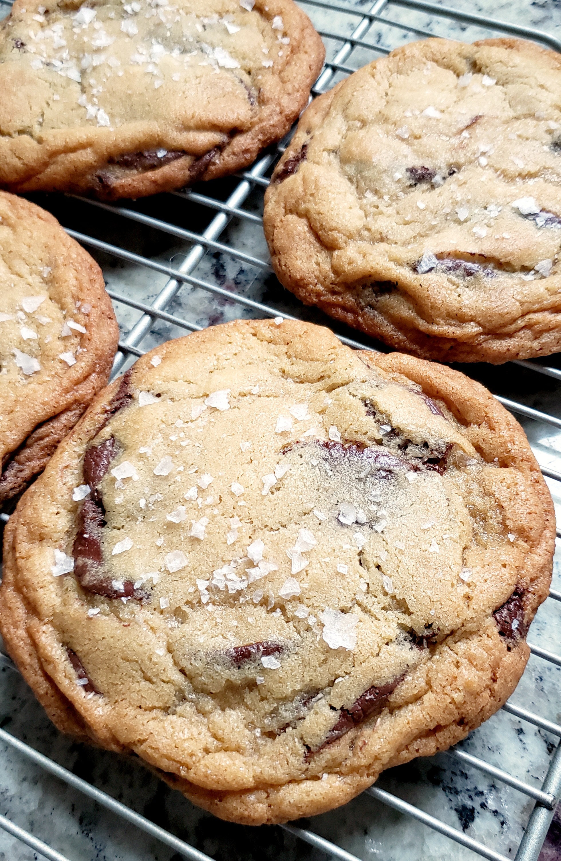 Chocolate chip cookies D