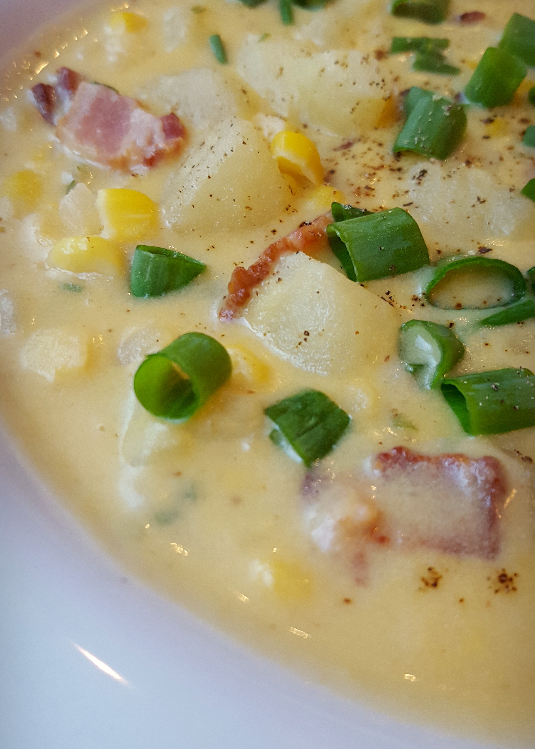 cheddar-corn-chowder